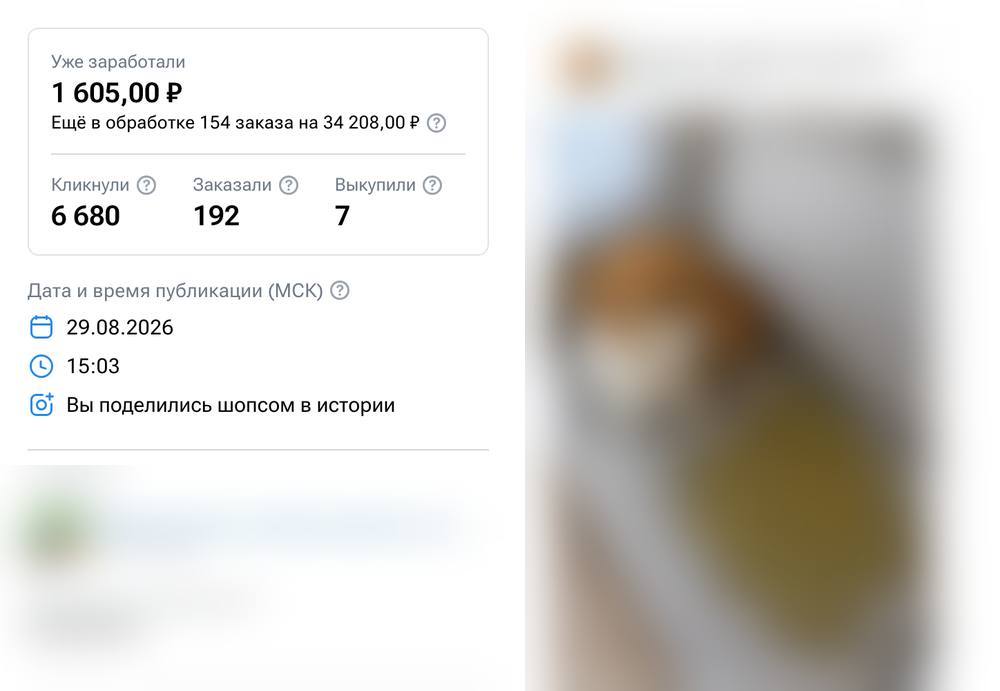 Заявка в кабинете AdBlogger: 35 813 ₽, 6 680 кликов · 192 заказа