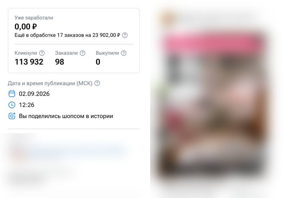 Заявка в кабинете AdBlogger: 23 902 ₽, 113 932 клика · 98 заказов